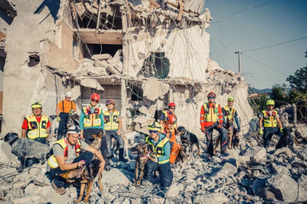 توجهات  دولية وعلمية لتدريب كفاءات عالية وفرق انقاذ تستطيع التعامل مع الأضرار الناجمة عن الزلازل