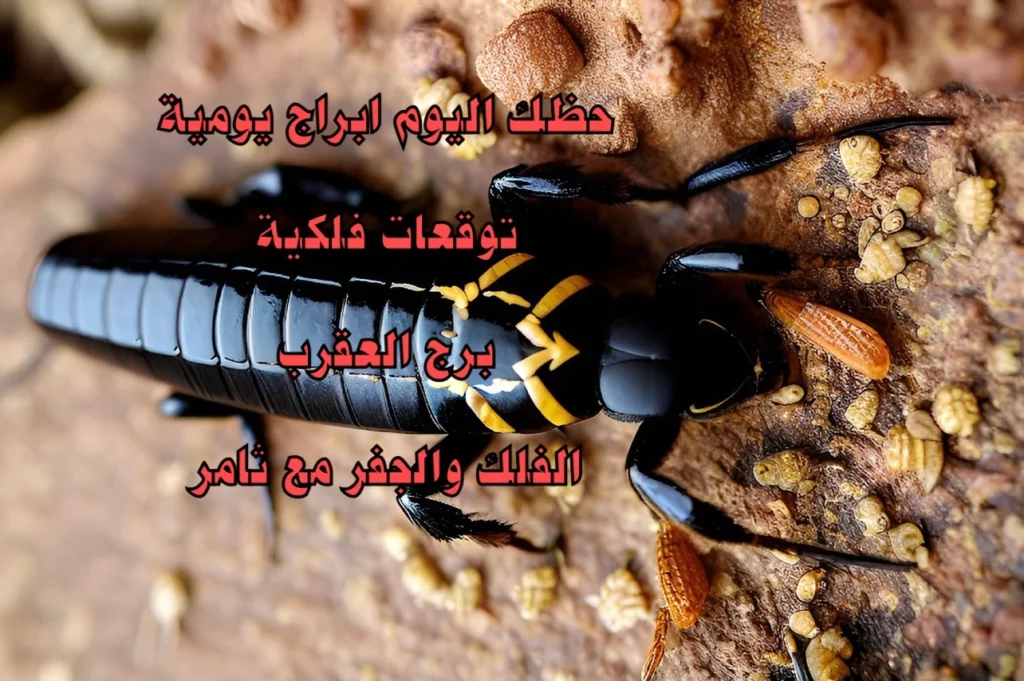 حظك اليوم الاثنين 20 آذار 2023 حظك اليوم الاثنين 20 آذار 2023-الفلك والجفر مع ثامر الإخباريImage Name