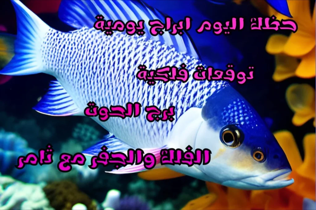 حظك اليوم الخميس 25 أيار 2023 حظك اليوم الخميس 25 أيار 2023 - الفلك والجفر مع ثامر الإخباري Image Name