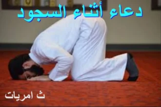 نداء نبي الله زكريا/ دعاء أثناء السجود - ثامريات