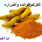 الكركم فوائده واضراره.ثامريات