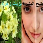 تفتيح البشرة بزيت زهرة الربيع.ثامريات