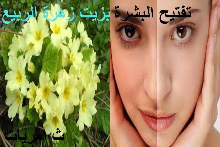 تفتيح البشرة بزيت زهرة الربيع.ثامريات