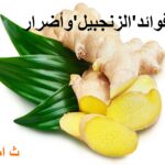 فوائد الزنجبيل و أضراره.ثامريات