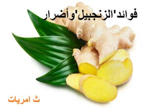 فوائد الزنجبيل و أضراره.ثامريات