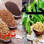 الحلبة. ثامريات