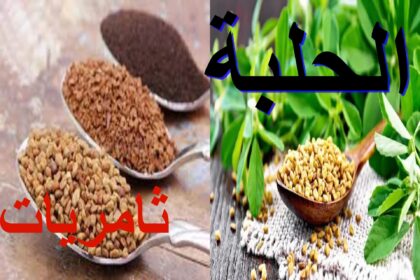 الحلبة. ثامريات